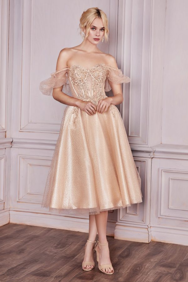 TEA LENGTH LAYERED TULLE DRESS - Image 2