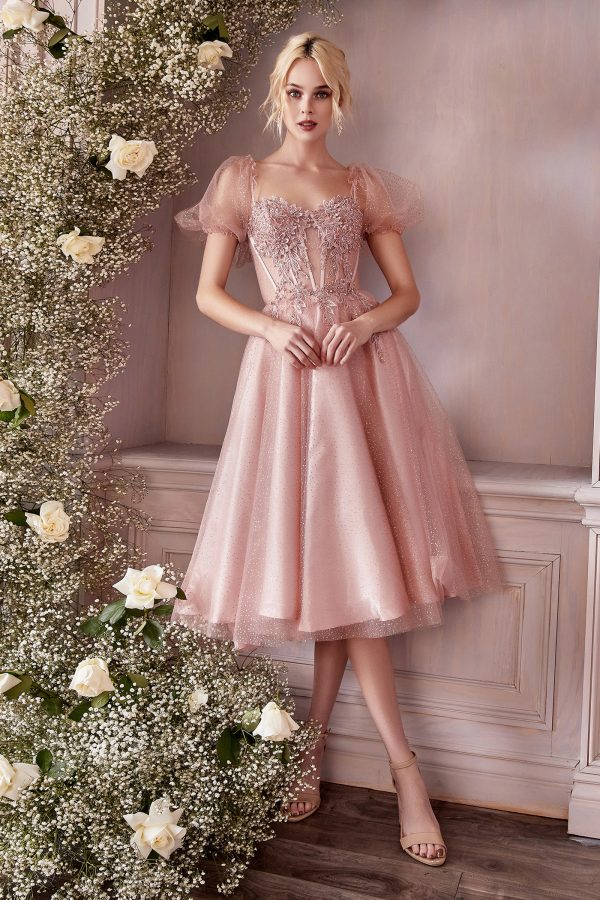 TEA LENGTH LAYERED TULLE DRESS - Image 5