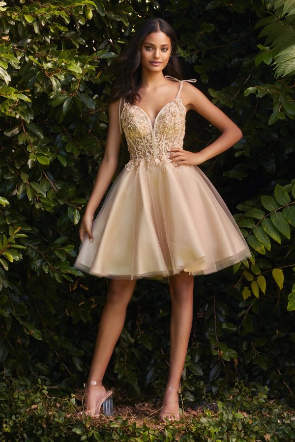 SHORT TULLE AND LACE DRESS - Image 2
