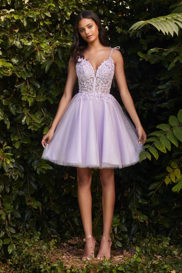 SHORT TULLE AND LACE DRESS - Image 3