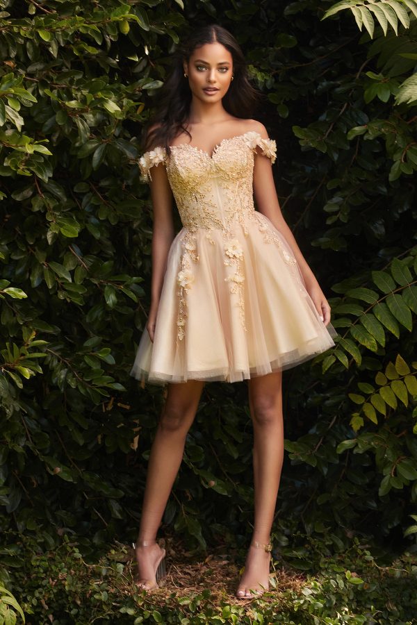 SHORT LACE A-LINE OFF THE SHOULDER DRESS - Image 2