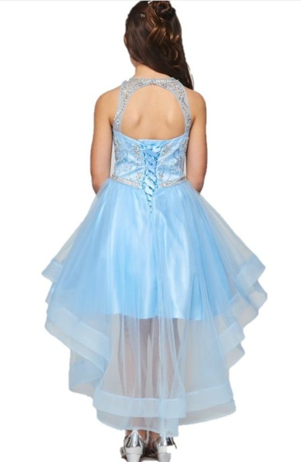 Halter Neck with Pearls & Jewels - Image 4