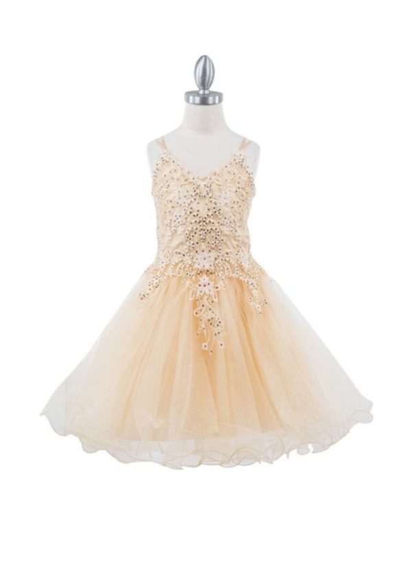 RHINESTONE EMBROIDERED APPLIQUE TULLE DRESS - Image 5
