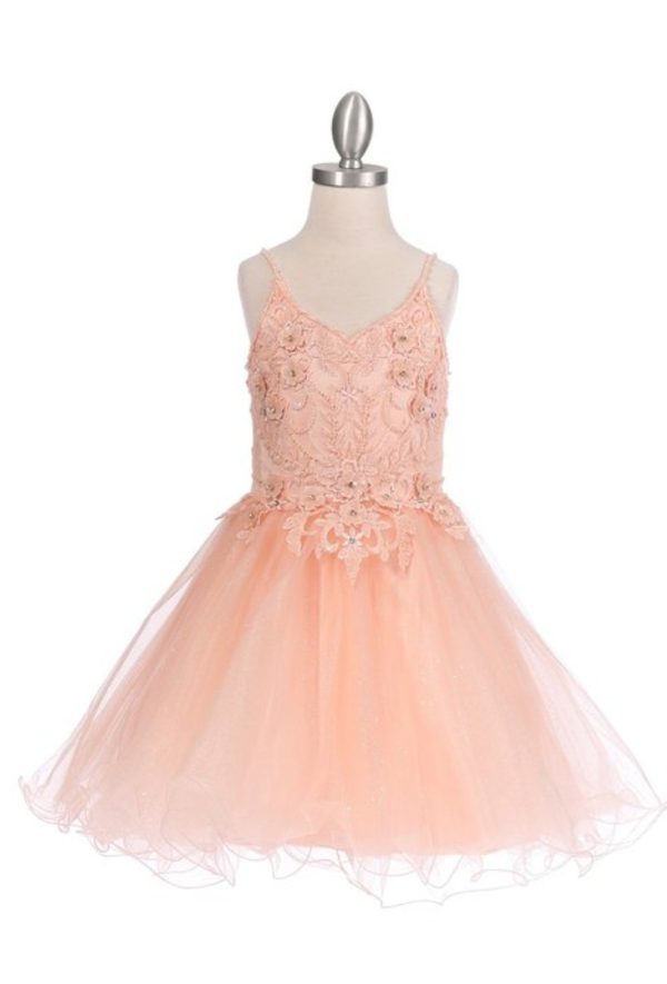ELEGANT ILLUSION SPARKLY TULLE A LINE TULLE DRESS