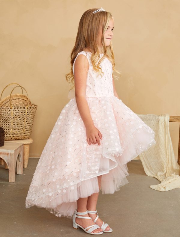 Lovely 3D Flower, Bead, and Sequin Overlay Bodice and Skirt - Image 4