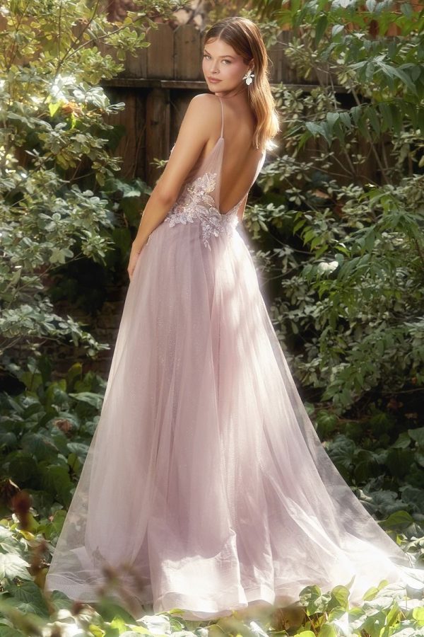 IRIDESCENT SEQUIN APPLIQUE PLEATED A-LINE GOWN