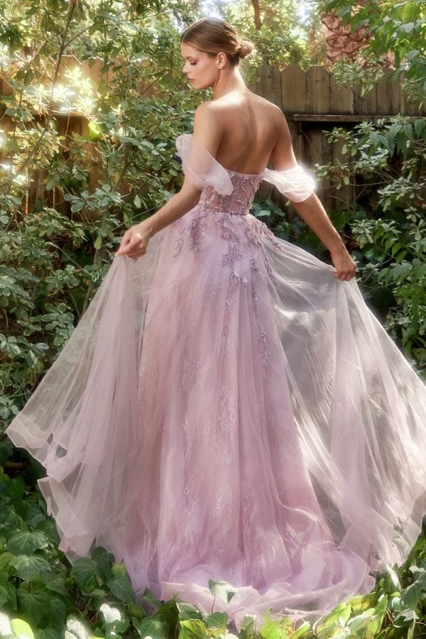 OFF THE SHOULDER BIRDS OF ROMANCE A-LINE TULLE GOWN - Image 2