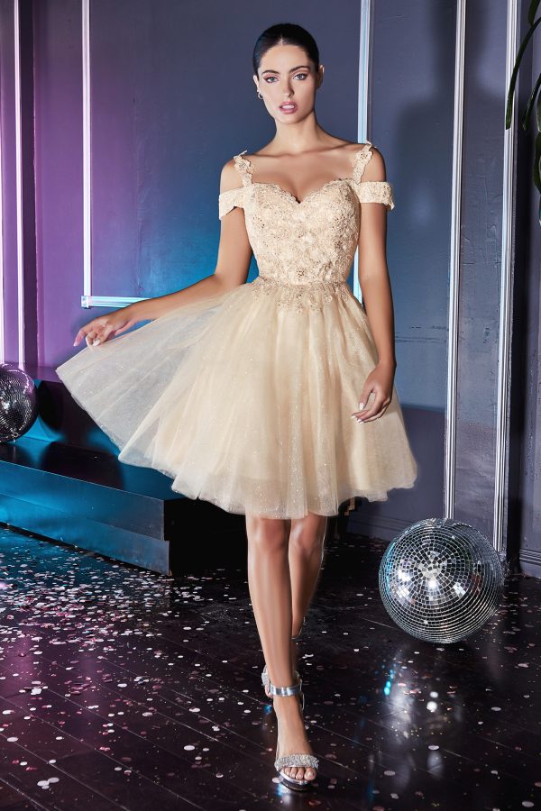 OFF THE SHOULDER LACE COCKTAIL DRESS
