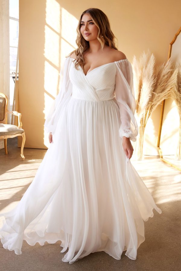 PLUS SIZE SWEETHEART SHEER SLEEVE SHIFFON DRESS