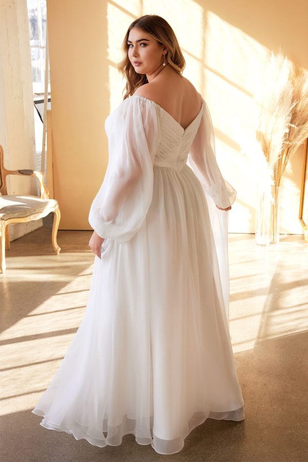 PLUS SIZE SWEETHEART SHEER SLEEVE SHIFFON DRESS - Image 2