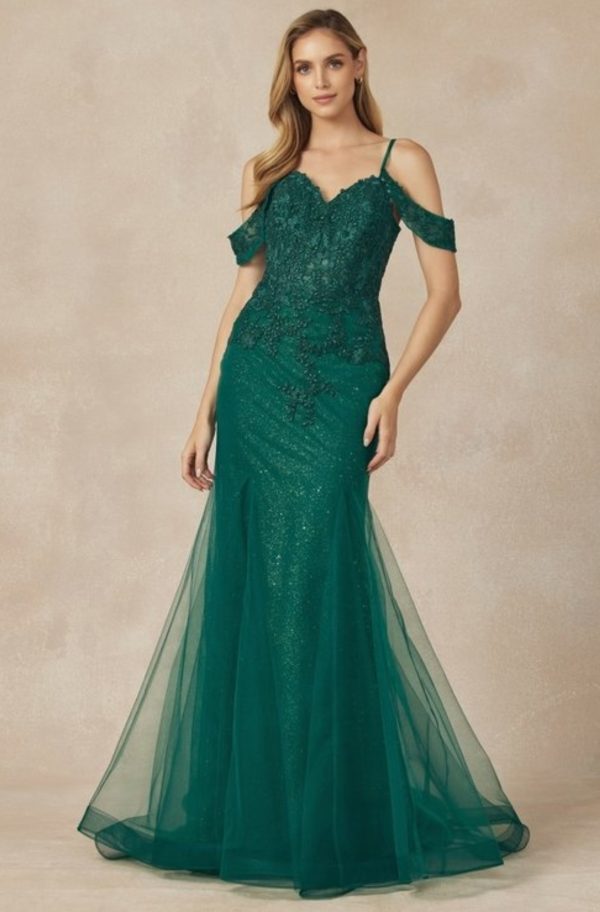 LONG FULLY MESH GOWN WITH OFF THE SHOULDER SLEEVES AND MERMAID SKIRT - Image 4