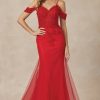 LONG FULLY MESH GOWN WITH OFF THE SHOULDER SLEEVES AND MERMAID SKIRT