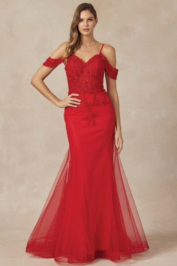 LONG FULLY MESH GOWN WITH OFF THE SHOULDER SLEEVES AND MERMAID SKIRT