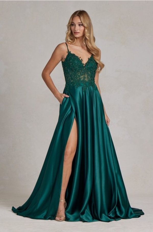 LACE BODICE FULL SKIRT DRESS