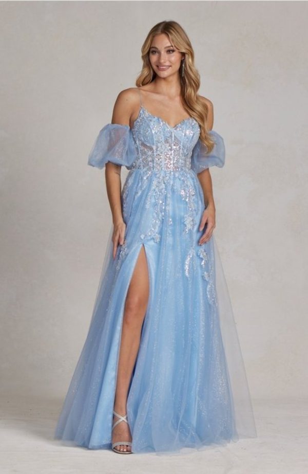 BALL GOWN WITH SPARKLY TULLE APPLIQUE MOTIF SKIRT & BODICE