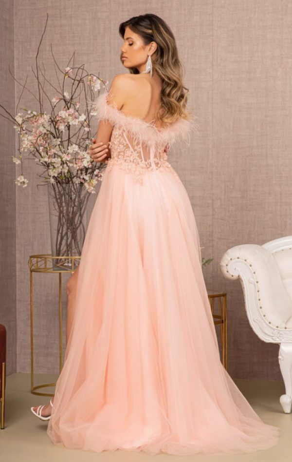 Embroidery Sheer Front Mesh A-line Dress w/ Feather Embellishment - Image 6