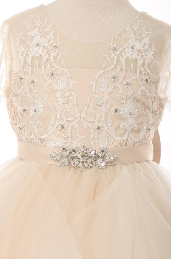 V neck tulle dress - Image 5
