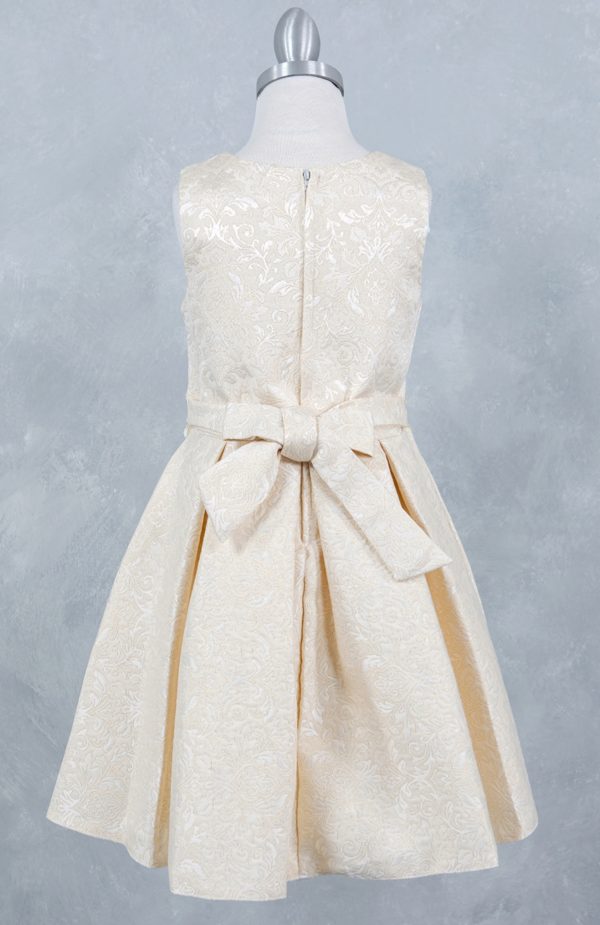 Ivory Sleeveless Jackard Dress - Image 3