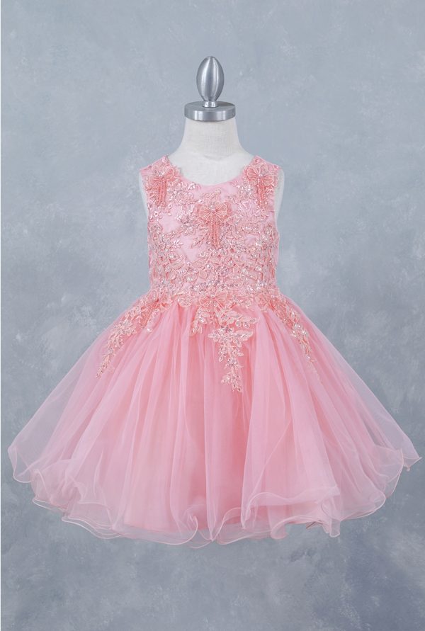 Champagne Lace Tulle Dress - Image 4