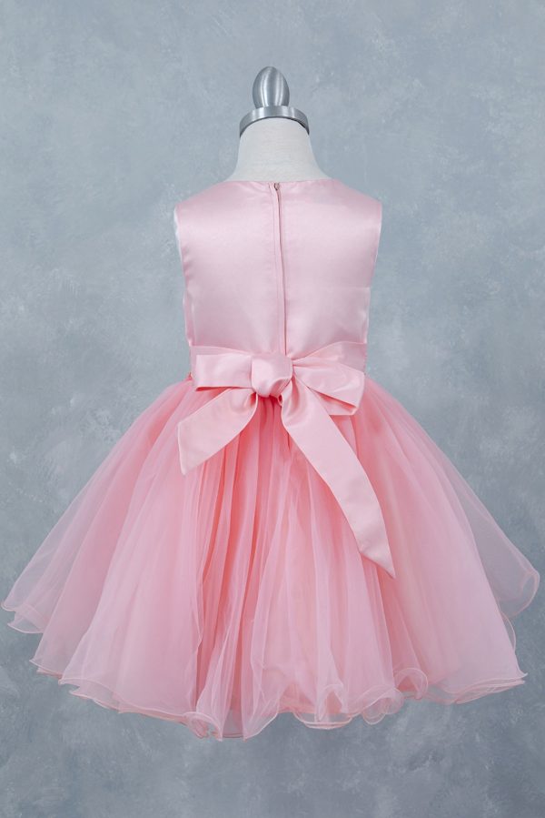 Champagne Lace Tulle Dress - Image 5