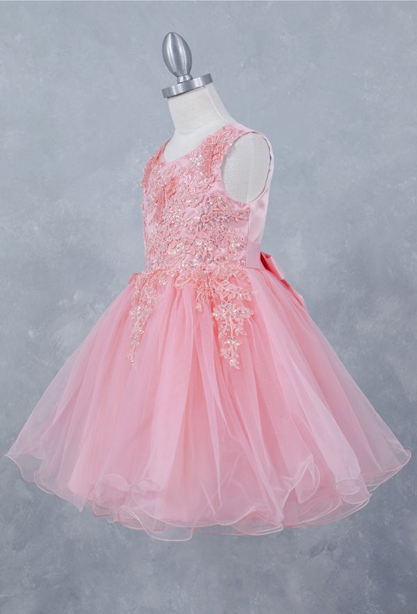 Blush Lace Tulle Dress - Image 3