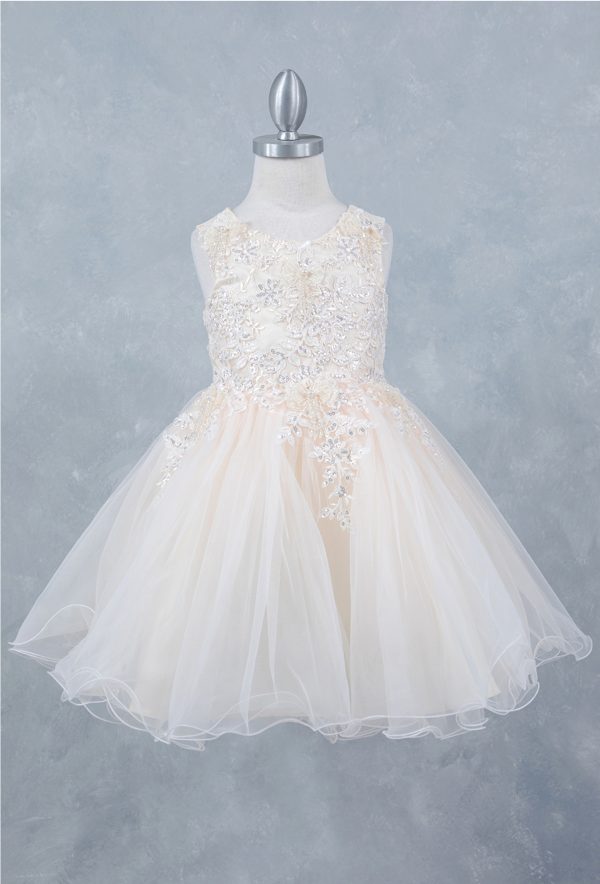 Champagne Lace Tulle Dress