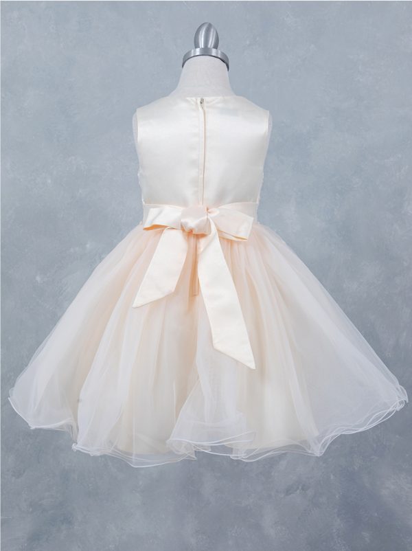 Champagne Lace Tulle Dress - Image 3