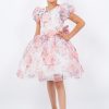 Peach Big Puff Sleeve Print Dress