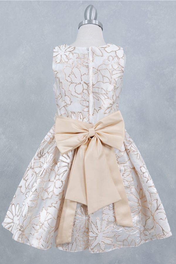 Champagne Sleeveless Jackard Dress With Flower - Image 3